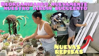 Reorganizando mis suculentas / Reformando mis jardin de suculentas