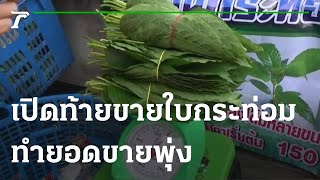 เปิดท้ายขายใบกระท่อม ทำยอดขายพุ่ง หลังรัฐปลดล็อก | 07-09-64 | ตะลอนข่าว