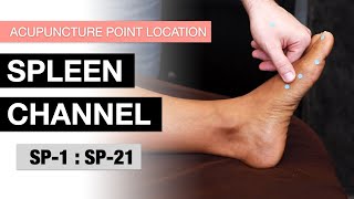 Acupuncture Point Location: The Spleen Channel (SP-1 to SP-21)