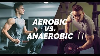 Aerobic vs. Anaerobic: How Do Workouts Change the Body?