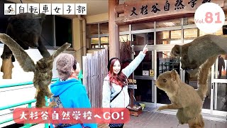 秘境・大杉谷に住む動物たちの剥製がお出迎え　大杉谷自然学校へサイクリング【Vol.81】