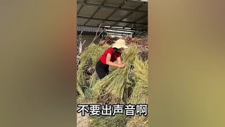 有缘千里来相会，无缘对面不相逢，农村大姐的善举给自己结下善缘