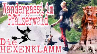 Pfälzerwald | Die Hexenklamm bei Pirmasens