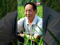 小新直击！比尔·盖茨发表演讲特别提到袁隆平