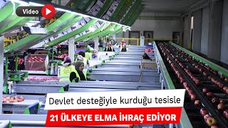 Devlet desteğiyle kurduğu tesisle 21 ülkeye elma ihraç ediyor