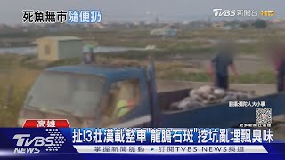 扯! 3壯漢載整車「龍膽石斑」挖坑亂埋飄臭味｜TVBS新聞 @TVBSNEWS01