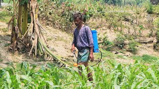 এদের কারণেই আজ আমরা দু'মুঠো খেয়ে বাঁচতে পারি, কিন্তু এদের খবর কয়জন রাখি ?