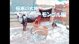 極寒の大地モンゴルへの旅立ち