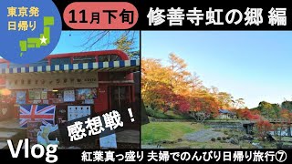 【旅行Vlog】静岡人気No.1紅葉スポット！『 修善寺虹の郷』散策 夫婦の日帰り旅行⑦