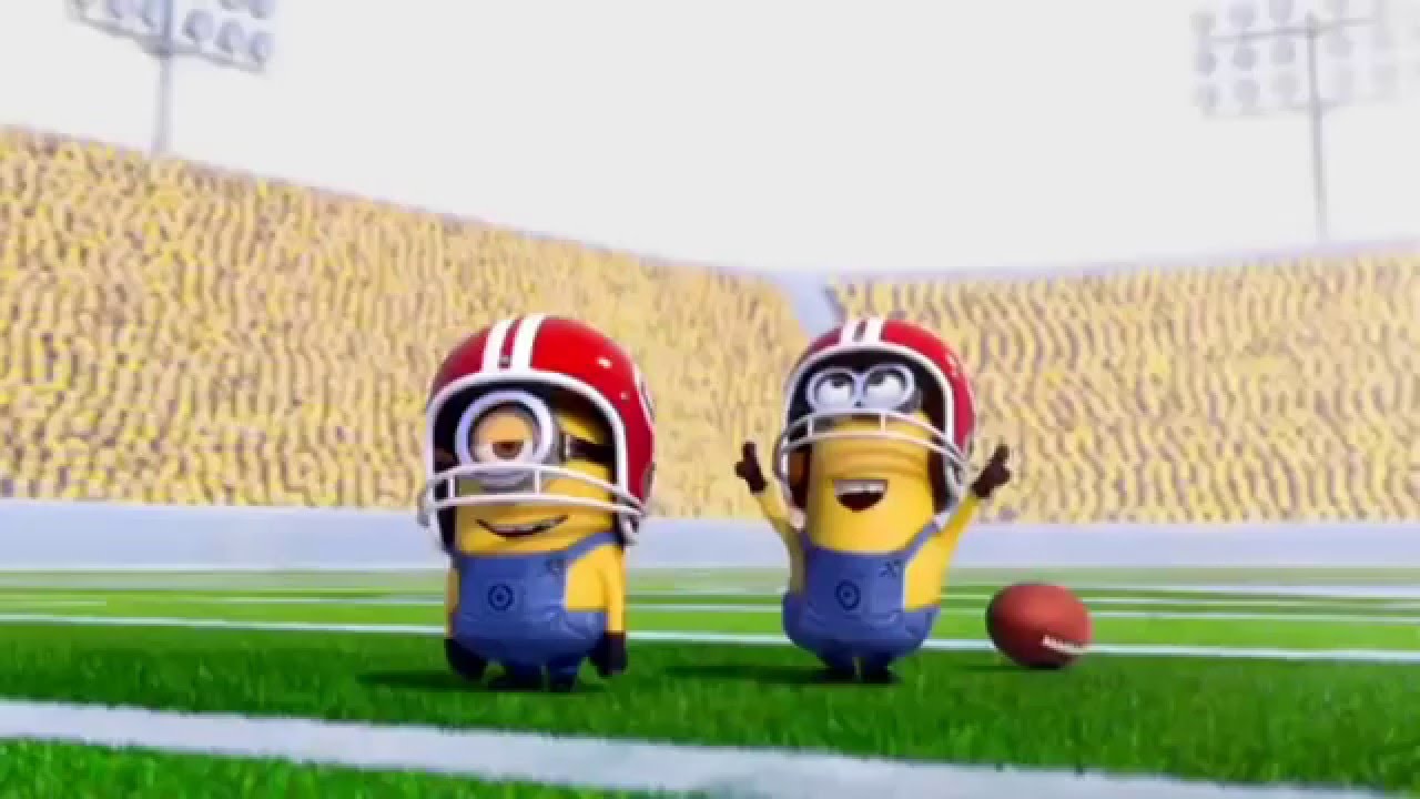 Redskins Nfl Football Minions