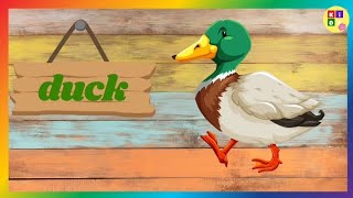 KIDSFLV | FARM ANIMALS | FUN LEARNING VIDEOS