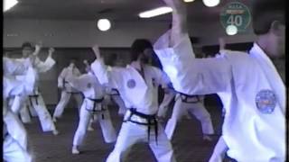 Park Jung Tae - Toi Gye Tul. ITF Taekwon-Do Seminar, Dublin 1987