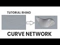 TUTORIAL RHINOCEROS - Cara Membuat Curve Network | INDONESIA