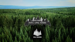 Ma forêt, ma terre: Quoi faire?