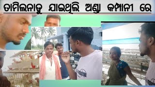 egg farm / tamilnadu anda Compa / Odia vlogs Video / Bhagi Suna / selam namakkal