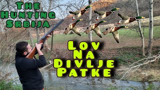 The Hunting Srbija - Lov na divlje patke 2023 - Hunting duck 2023