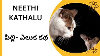 పిల్లి- ఎలుక కథ|| The Cat and the Mouse Story…