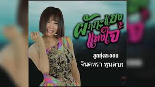 ผักกะแยงแทงใจ - จินตหรา พูนลาภ Jintara Poonlarp 【LYRIC VIDEO】