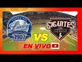 Licey Vs Gigantes  En Vivo (12/01/2024)