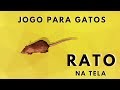 👉Jogos para gatos - RATO na TELA