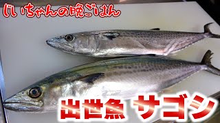 [Fish that grows in popularity] Chairman Nishiyan will be preparing the Spanish mackerel that he ...