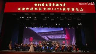 西北农林科技大学2020新年音乐会（ P7  远情）