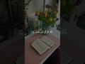 تدبروا الآيات 🤍 قران فارس_عباد quran quran_alkarim quranrecitation qurantilawat quranverses