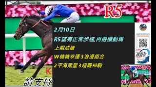 香港賽馬貼士   2月10日R5望有正常步速,再選機動馬    kennie yan#賽馬#賽馬貼士#加入會員月費計劃(市井喱民)