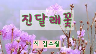 [시낭송] 진달래꽃 / 김소월 / 영변에 약산 진달래꽃 아름 따다 가실 길에 뿌리우리다 / 봄시, 명시, 힐링시, 감동글 [오디오북 힐링편지] 들꽃영희