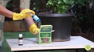 Garden Gold 3 in 1 Health Kit | Harit Sanjivani