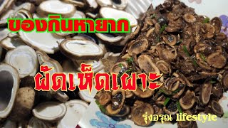 #อาหาร ป่า #ผัดเห็ดเผาะ(เห็ดถอบ)วิธีง่ายๆอร่อย ..ตามมาดูเลยค่ะ!! By รุ่งอรุณ lifestyle