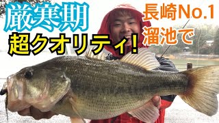 【バス釣り】真冬のハイクオリティバス‼️【長崎バス釣り】【諏訪の池】