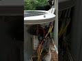 strange service calls...snake gets electrocuted by capacitor...