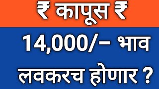 @indianfamousfarmerMramit 29 मार्च 2022 कापूस 14,000/- लवकरच होणार ? बघा ते कसे ?