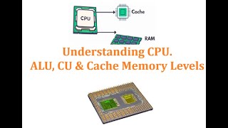 Understanding CPU: ALU, CU & Cache Memory Levels