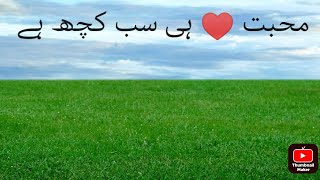 آپ صلی اللہ علیہ وسلم 💚