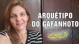 Arquétipo do Gafanhoto: Arquétipo do Salto Quântico