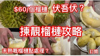 街市60/個榴槤伏吾伏？｜揀靚榴連攻略｜未熟榴連點處理？