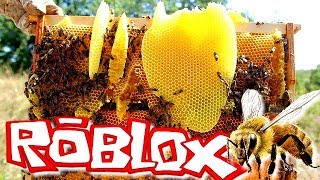 Je Vous Presente Mister Nounours Guimauve Roblox Bee Swarm Simulator - ma ruche d abeilles roblox bee swarm simulator