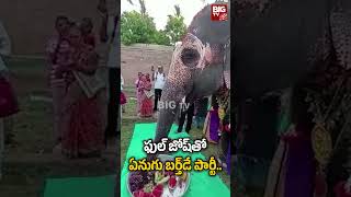 ఫుల్ జోష్ ఏనుగు బర్త్ డే పార్టీ : Elepheant Birthday Celebrations | BIG TV Vishakapatnam