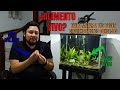 El alimento vivo mata a los peces, aprende a evitarlo con este video