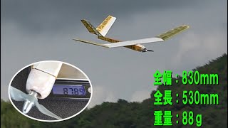 自作 88g飛行機【ラジコン飛行機】430