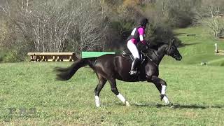 Francesca Broggini \u0026 Esuberanza Virginia Fall CCI \u0026 Horse Trials 2019