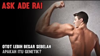 Otot Lebih Besar Sebelah, Apakah Itu Genetik?