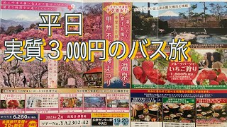 山梨県に日帰りバスツアー 平日 実質３,000円　旅行支援は後１ヶ月ぐらい？ お得に旅行を楽しみましょう✨