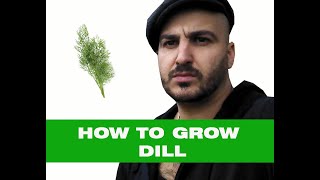 How to grow Dill - The Complete Growing Guide