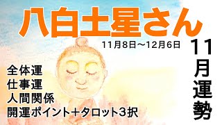 【八白土星さん】１１月運勢＋タロット３択