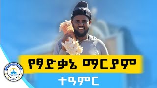 🔴 አስደናቂው የፃድቃኔ ማርያም ገዳም ጉዞ! | በቤተ ሐጌ ሚዲያ የተዘጋጀ #ፃድቃኔ_ማርያም_ገዳም #monastery #ethiopia