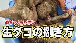 【超早い・お刺身】生ダコの捌き方【#038】How to octopus（Tako）of cooking sashimi.