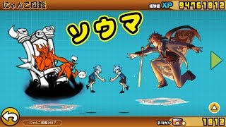 《 にゃんこ大戦争 》幸せを願った少年ソウマ ＆ ネコ 性能紹介【BattleCatKing】